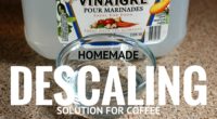 homemade descaling solution for coffee makers